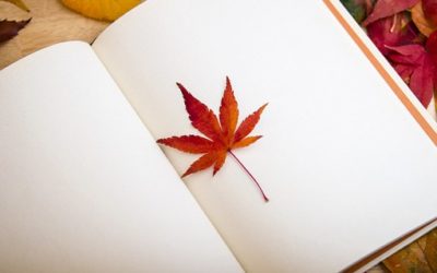 simplifiez-vous la vie avec le bullet journal.