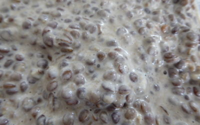 Lentilles mayonnaise