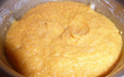 Petite purée aux légumes de saison à la crème de coco.