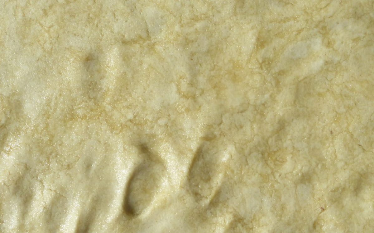 Pâte à tarte rapide et sans gluten. - Terre Agir