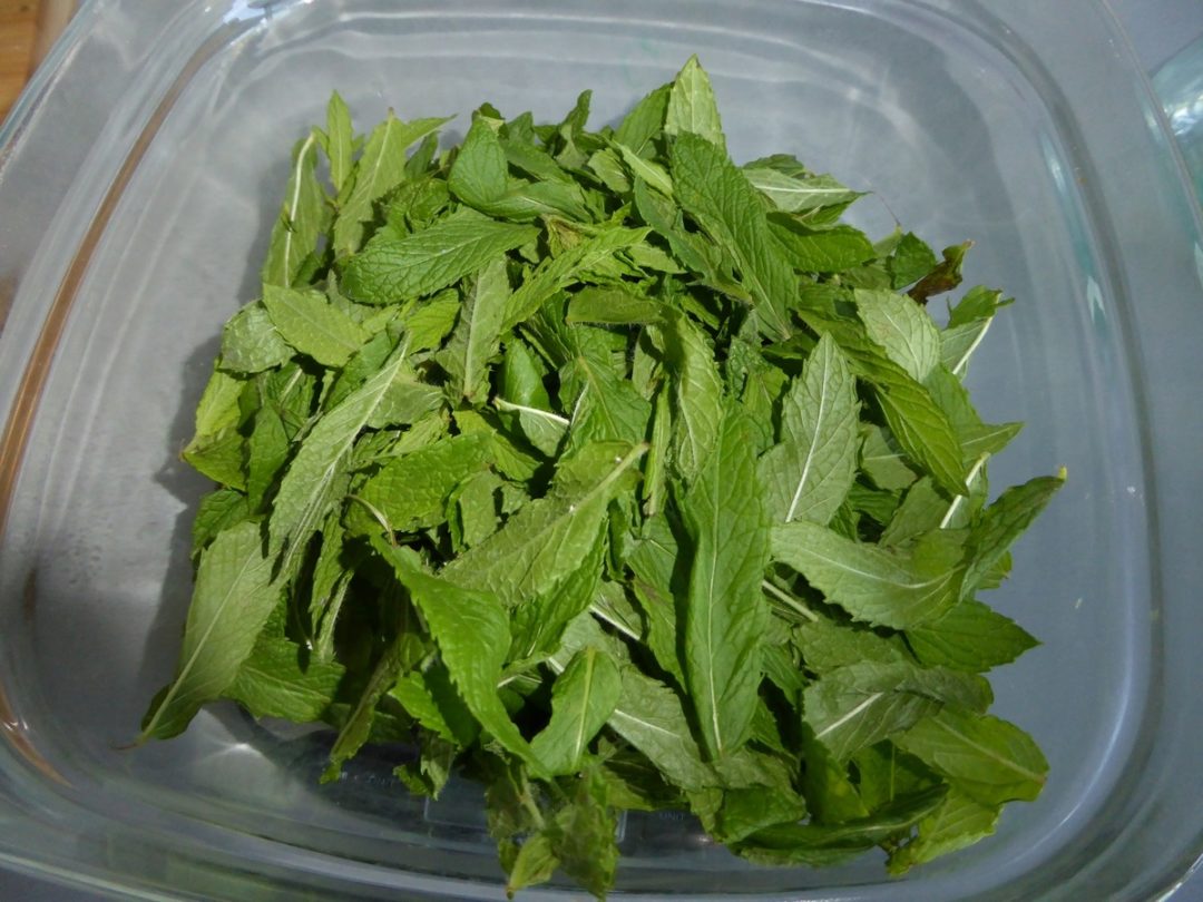 Recette pour faire son sirop de menthe maison. - Terre Agir