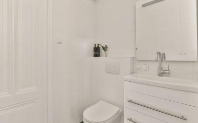 Comment j’ai remplacé le papier toilette