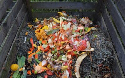Le compostage ou comment réduire vos déchets d’un tiers.