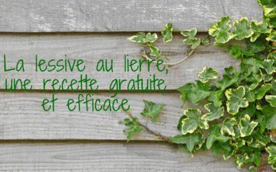 Recette de la lessive au lierre
