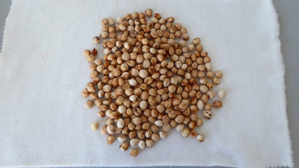 DIY pour faire sa bouillotte sèche maison - Terre Agir