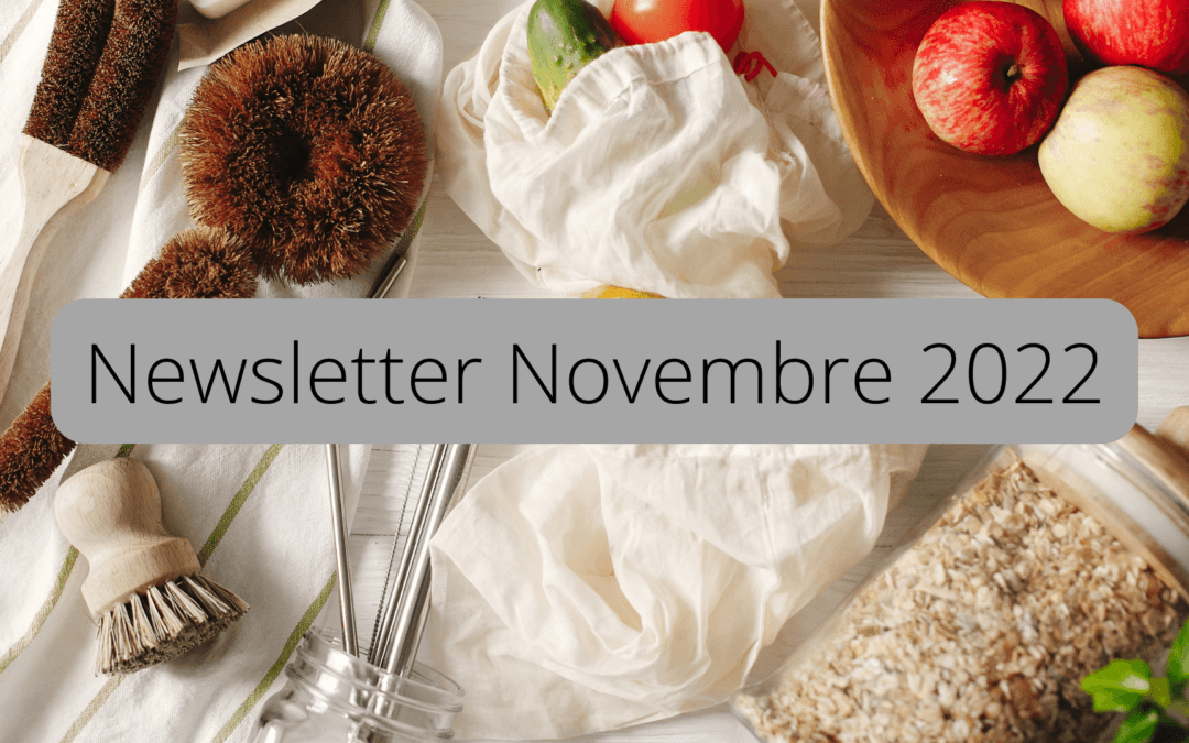 Newsletter du mois de novembre